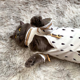 JoJo's Bizarre Adventure Bruno Bucciarati Cat Costume AndreaGioco
